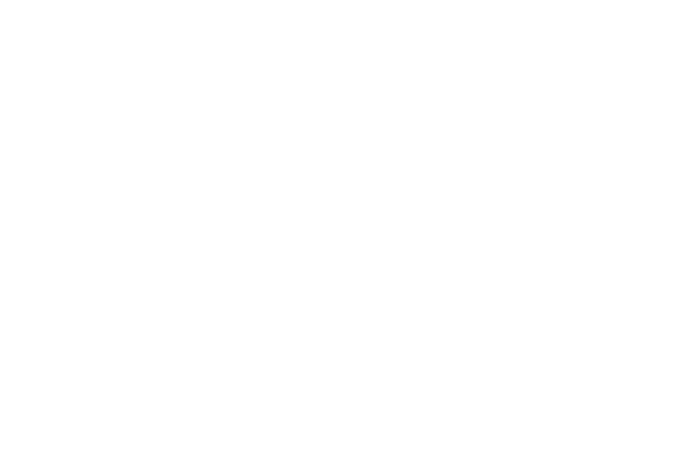 STASY logo