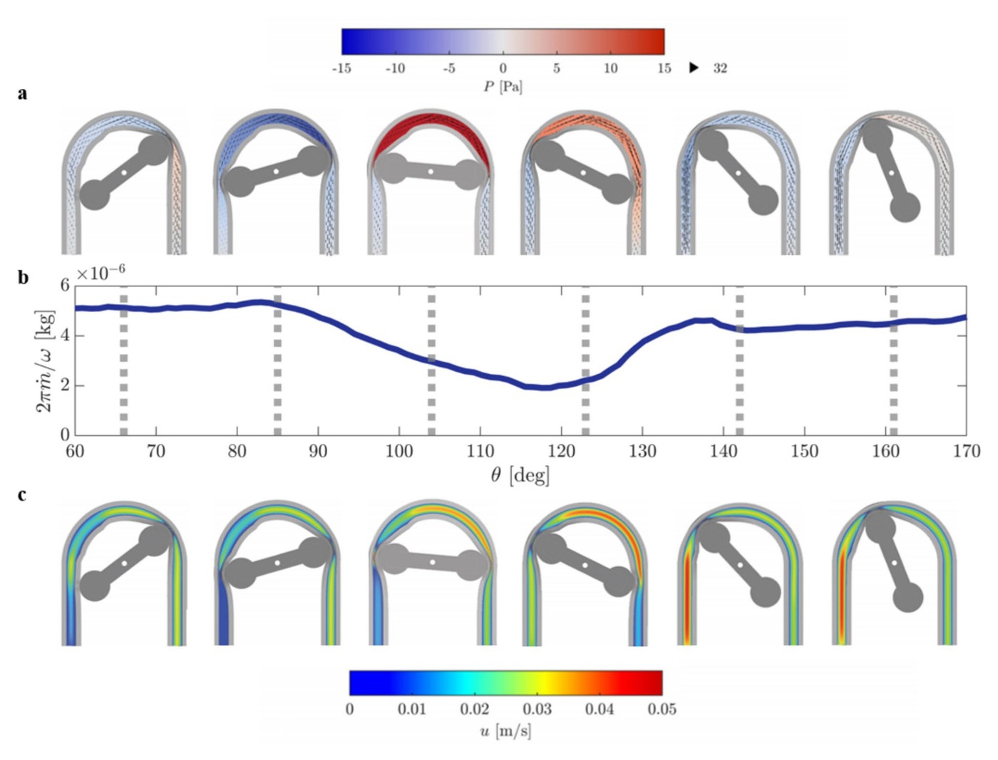 Pressure and velocity contour snapshots from AccuFlow peristaltic pump flow simulations