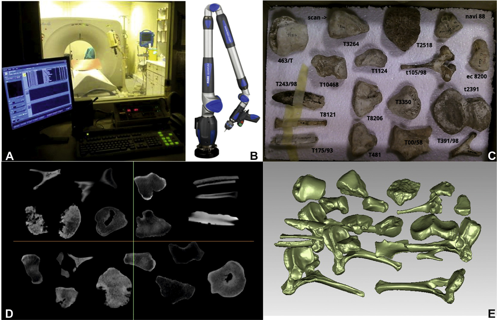 CT scanning, laser scanning and digital surface reconstruction of Palaeoloxodon tiliensis fossils