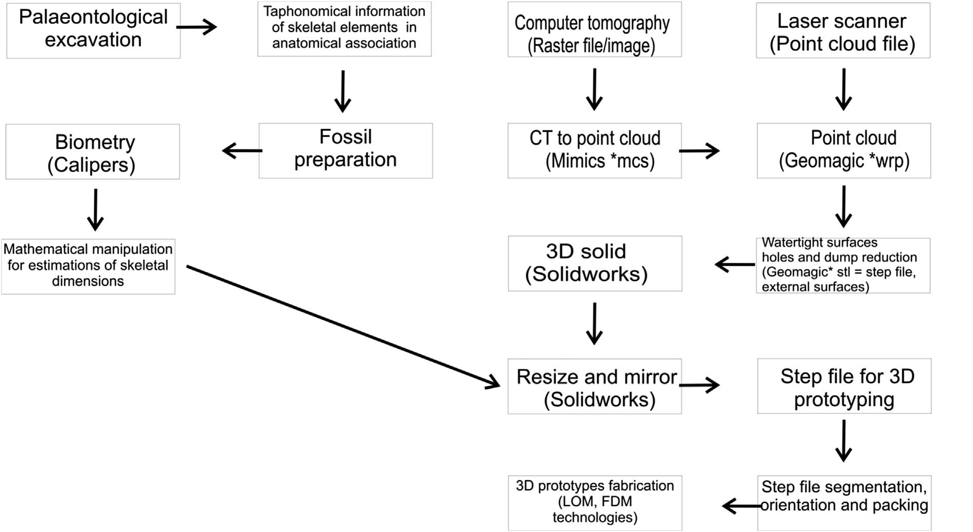 Workflow from palaeontological excavation to CAD modelling and 3D prototype fabrication