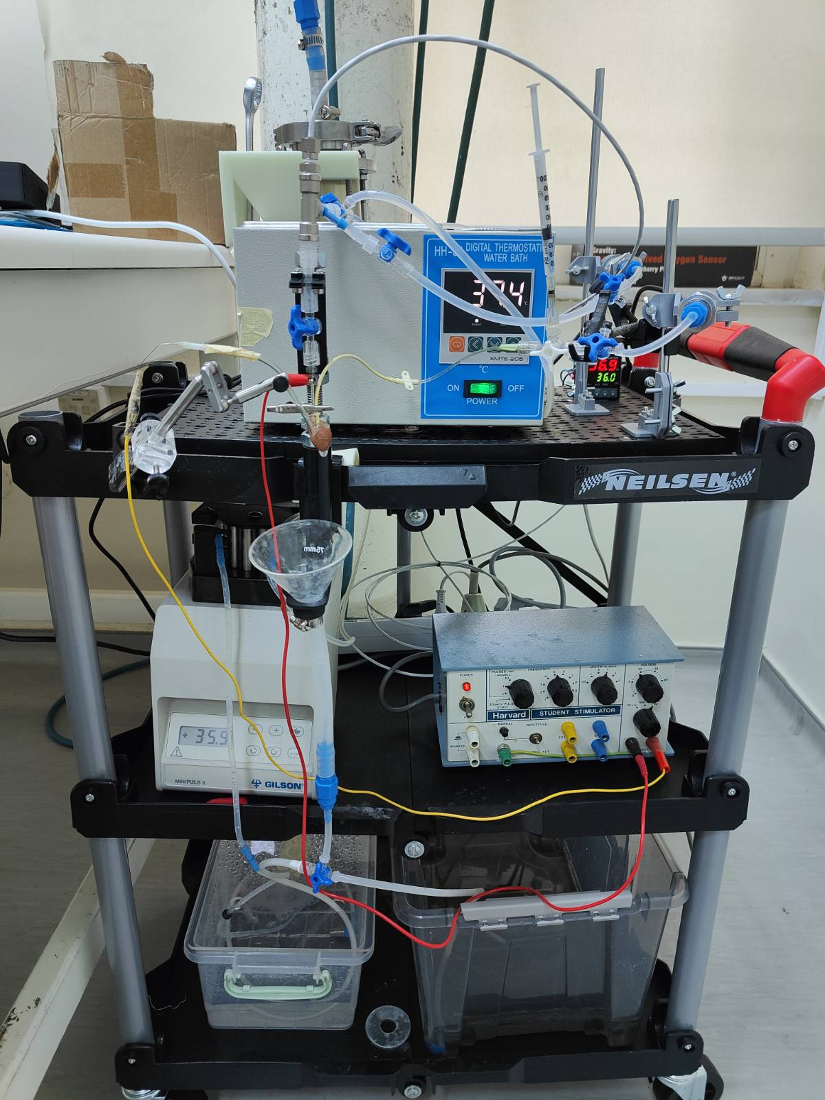 System view of the laboratory ex-vivo rat-heart perfusion prototype