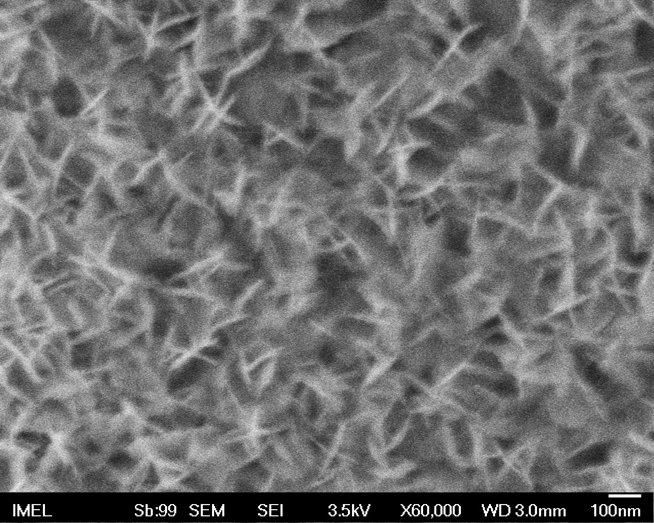 SEM image of the nanostructured surface layer formed during the WETSURF surface-treatment route