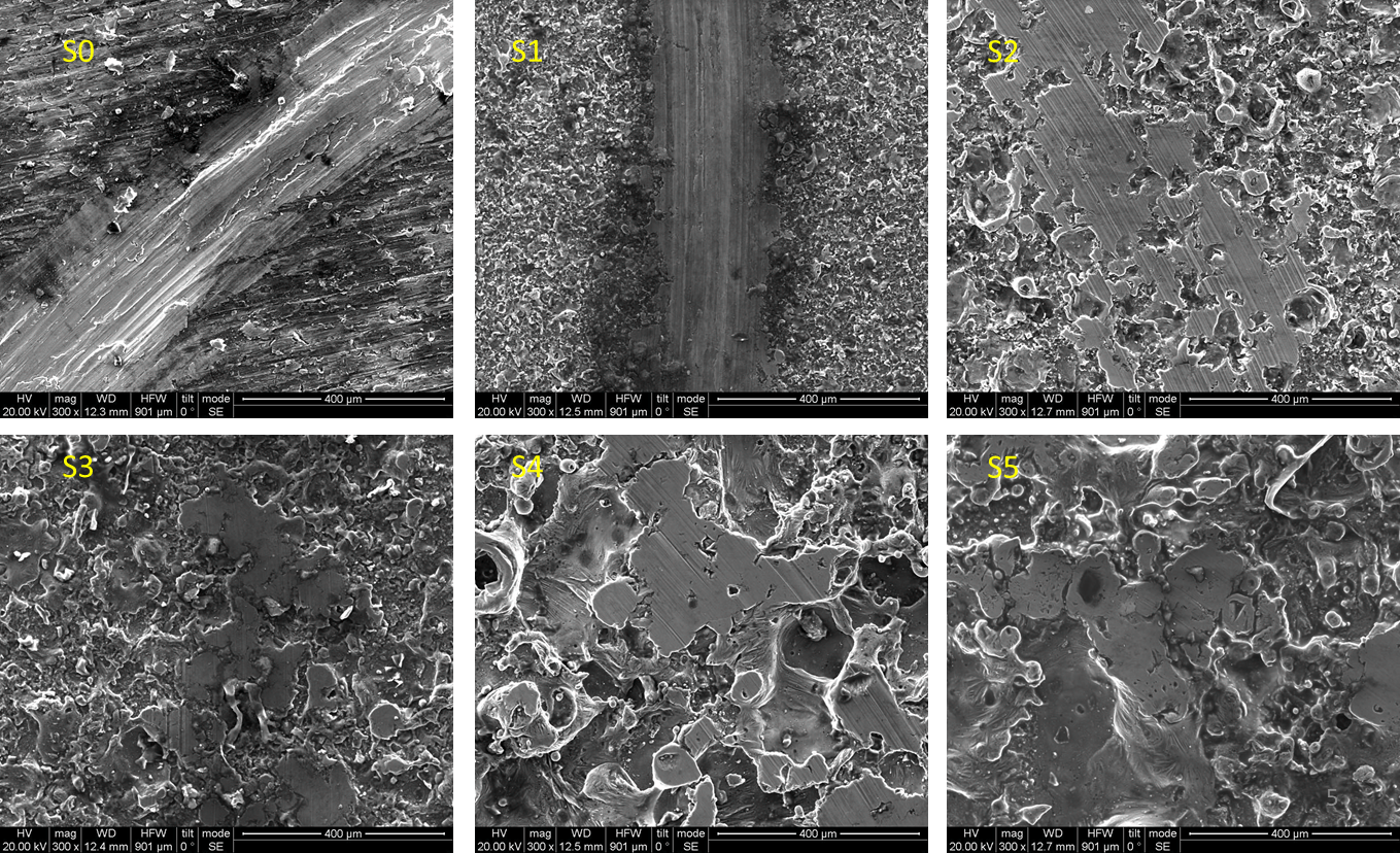 SEM comparison of wear morphologies observed on textured WETSURF specimens